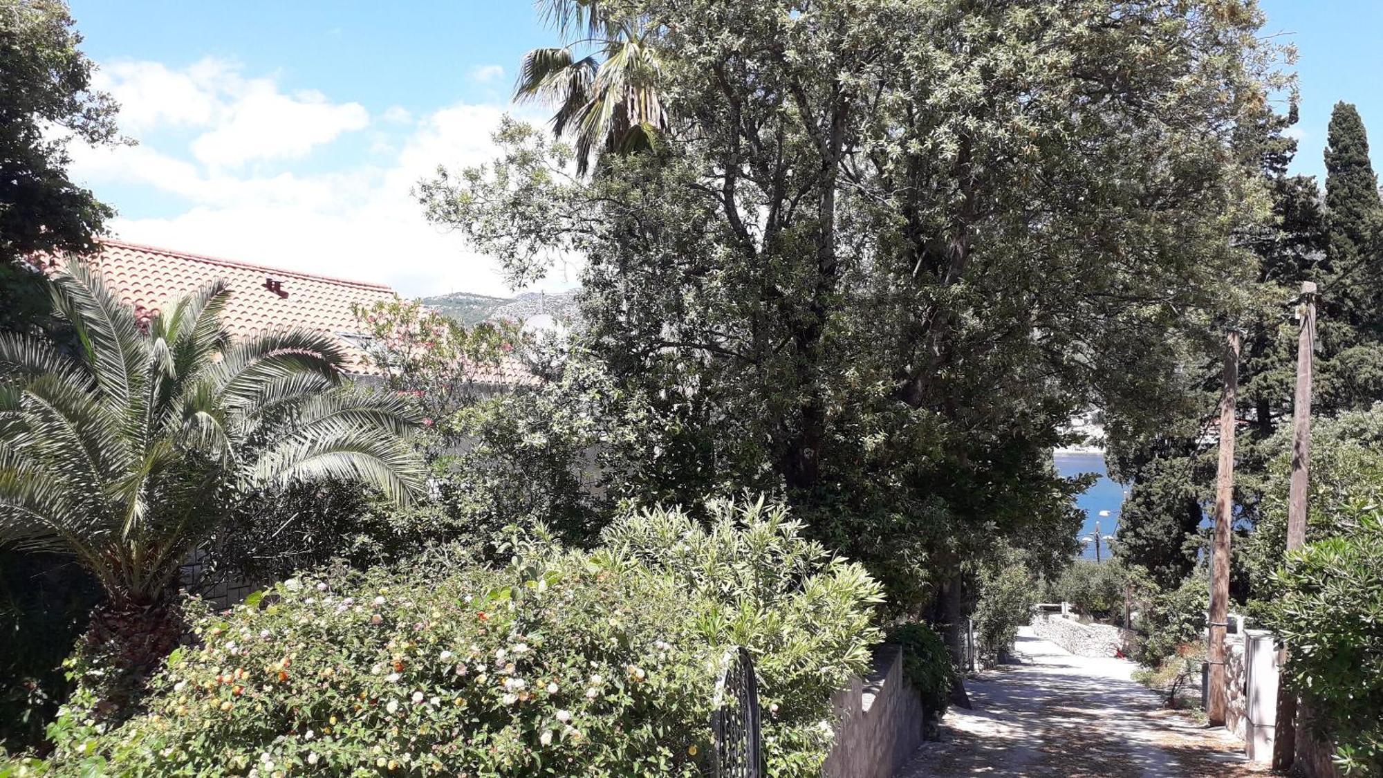 Apartments Marija - 50M From Beach Zaton  Eksteriør billede